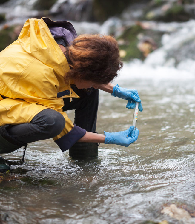 Scientist Ecologist Taking a Water Sample in the Forest